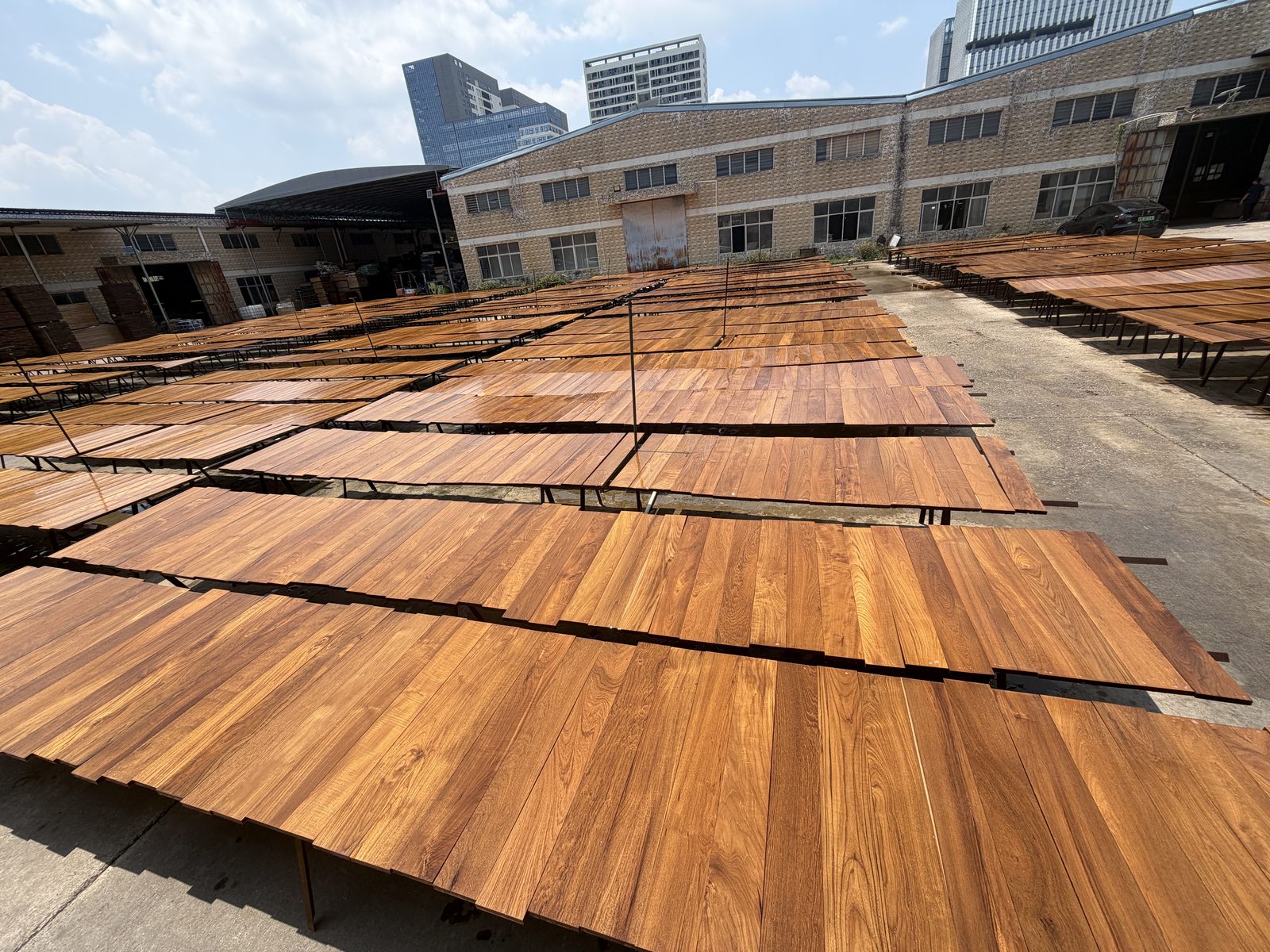 Teak drying yard
